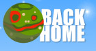 Back To The Homepage